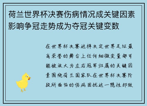 荷兰世界杯决赛伤病情况成关键因素影响争冠走势成为夺冠关键变数